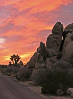 Jumbo Rocks sunset