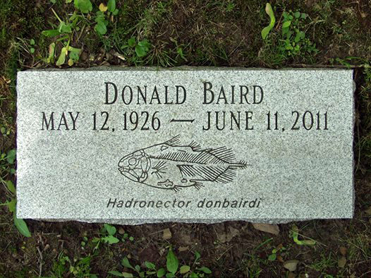Donald's grave marker