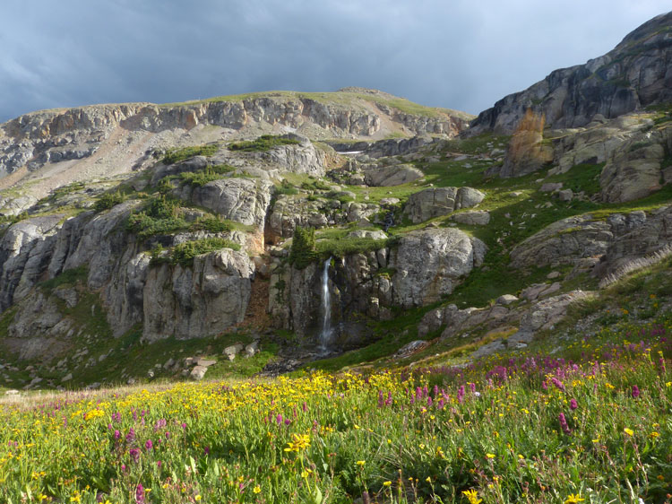 Porphyry Falls and flowers